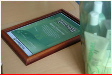 Диплом и призы