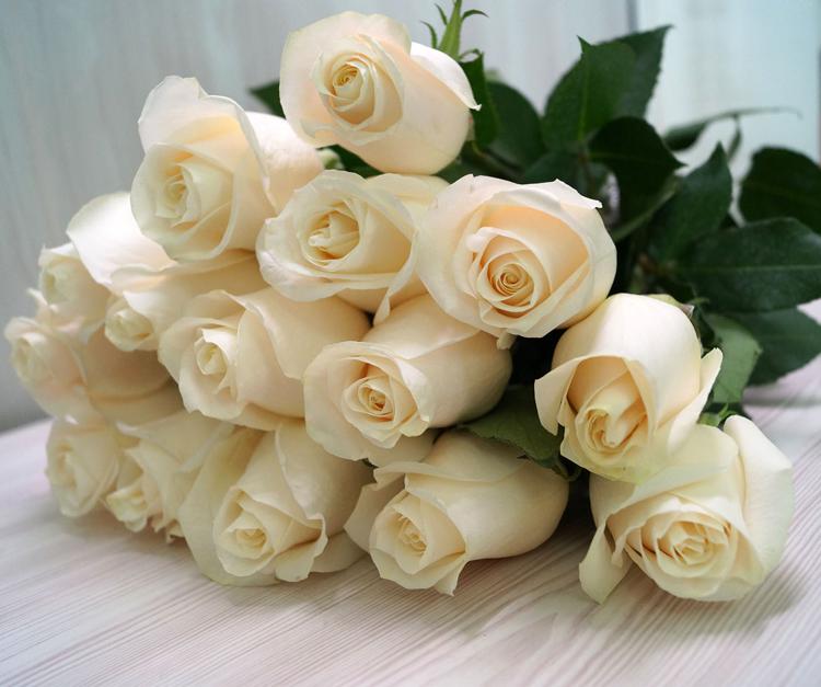Букет из 19 классических красивых роз