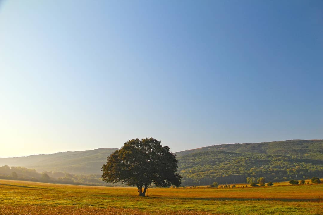 Байдарская долина