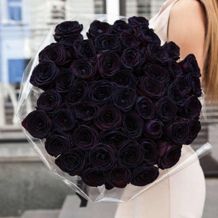 черная роза букет черных роз