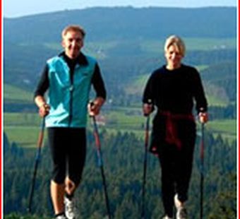 Nordic Walking. Зарядка и растяжка