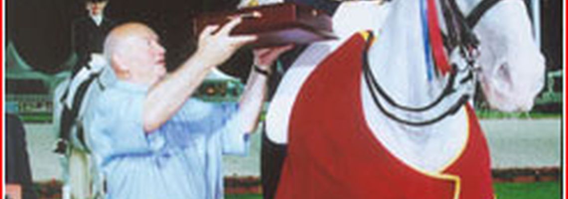 Турнир по выездке