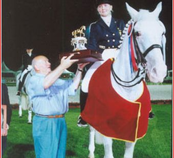 Турнир по выездке