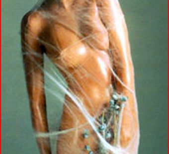 Правила хорошего тона