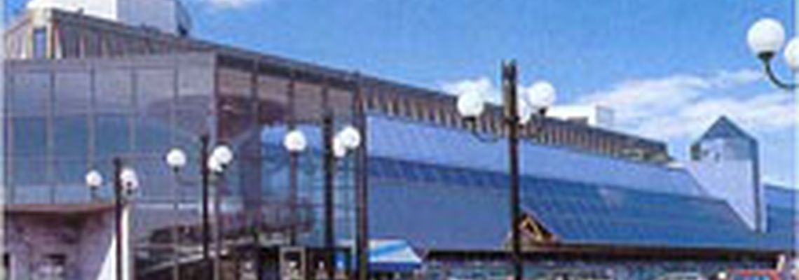 Мода Москва