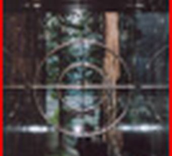 Век джаза... и стрельбы