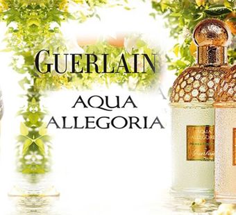 Новинка Guerlain: духи Герлен Аква Аллегория Bergamote Calabria на лето 2018