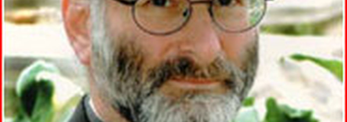 История Бейсболки