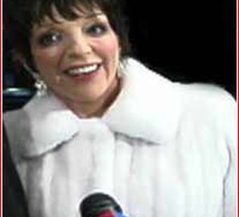 Черно-бурый PR