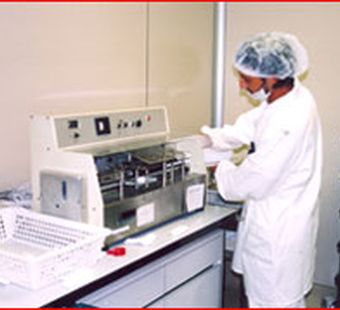 Эликсир красоты, рожденный войной