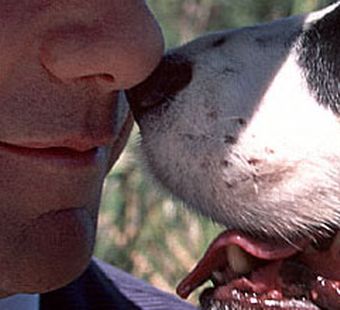 Ухо, нос - ножницы, машинка