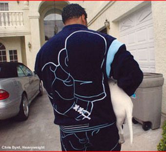 Аромат боксерской схватки