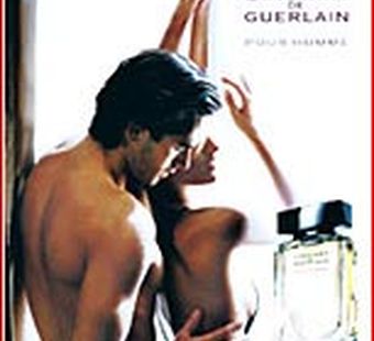 Ароматы осени модные ноты