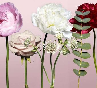 Шесть популярных цветов в свадебном букете невесты и их значения