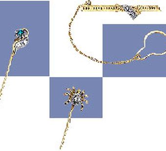 Лучшие друзья девушки. Модные аксессуары для волос на каждый день