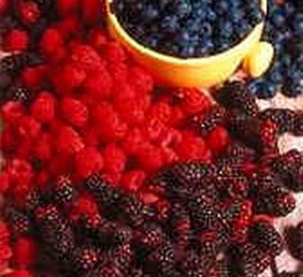 "Ягода малина нас к себе манила…"