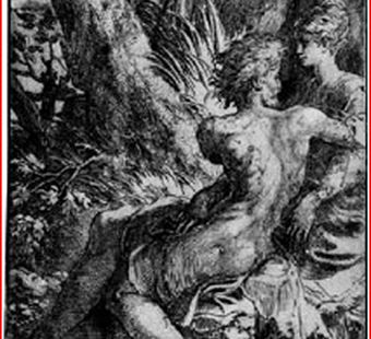 Пармиджанино в веках и искусствах