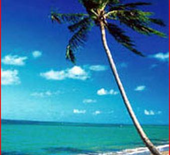 Бразилия ставка на моду