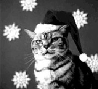 Статьи сезона 2002/03. Рet-терапия