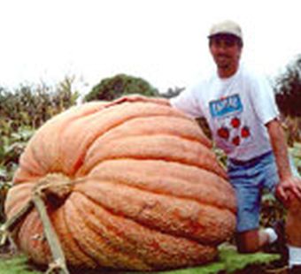 Пища Франкенштейна?