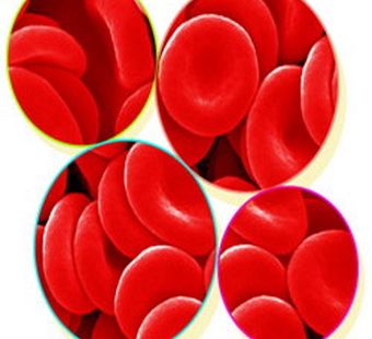 Характер по группе крови