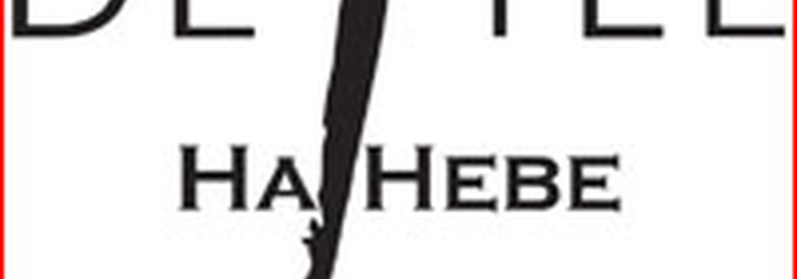 Дефиле на Неве. Пресс-конференция