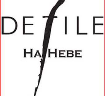 Дефиле на Неве. Пресс-конференция